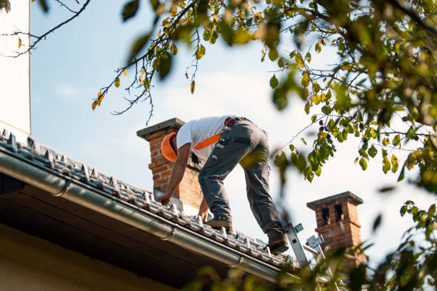 Best Local Roofing Companies  in Claypool Hill, VA