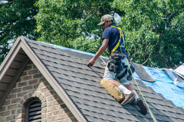 Best Roof Waterproofing Services  in Claypool Hill, VA